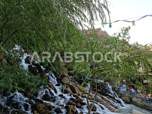 صورة جمالية رائعة لشلال ماء ، جريان الماء على الصخور ، سحر الطبيعة الخضراء الخلابة ، أماكن سياحية طبيعية