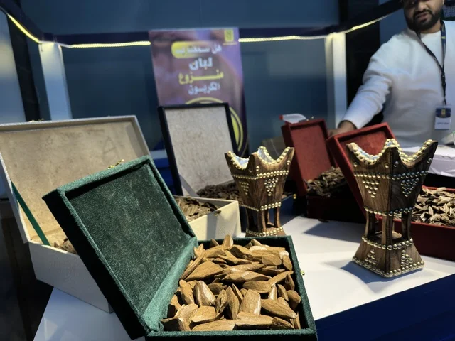 معرض تجاري في فعالية " أنا وأنت يا رمضان " في مدينة جدة، المملكة العربية السعودية، يوم 1 من فبراير 2026، تجربة رمضانية اجتماعية وثقافية، أنشطة تفاعلية وعروض رمضانية، جلسات عائلية وأجواء روحانية، فعاليات ترفيهية مستوحاة من روح الشهر الفضيل، أجواء دافئة تعزز قيم المشاركة والاحتفاء برمضان.