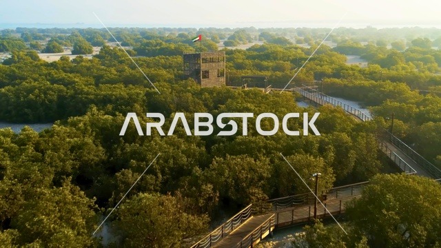 ممر خشبي غابات القرم الإمارات برج مراقبة