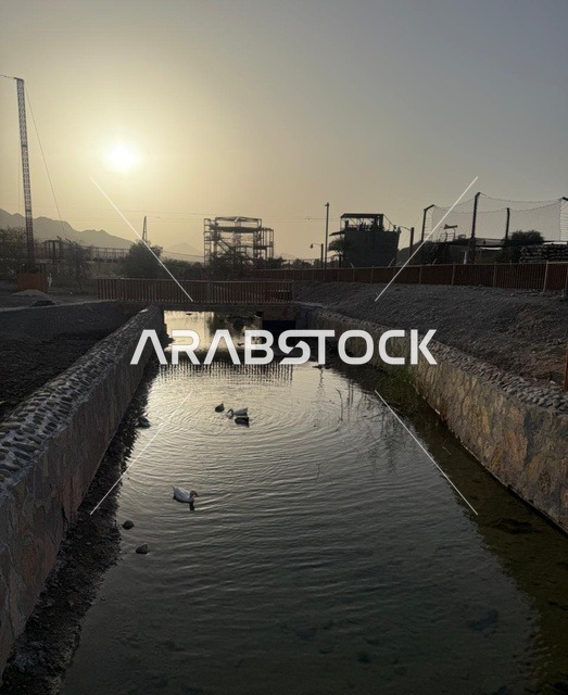 طيور البط في قناة مائية في حتا دبي وقت الغروب