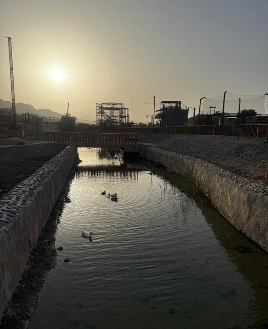 طيور البط في قناة مائية في حتا دبي وقت الغروب