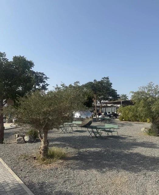 Tourist Destination Hatta Dubai Landscape and Trees