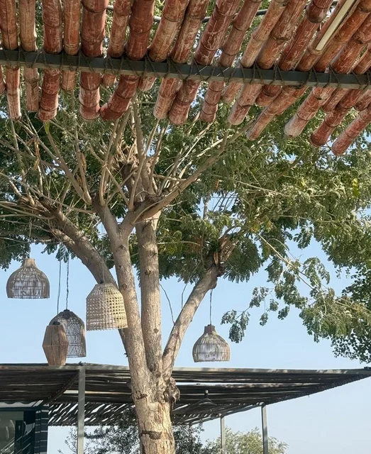 Tour Guide in Hatta Dubai with Woven Lamps