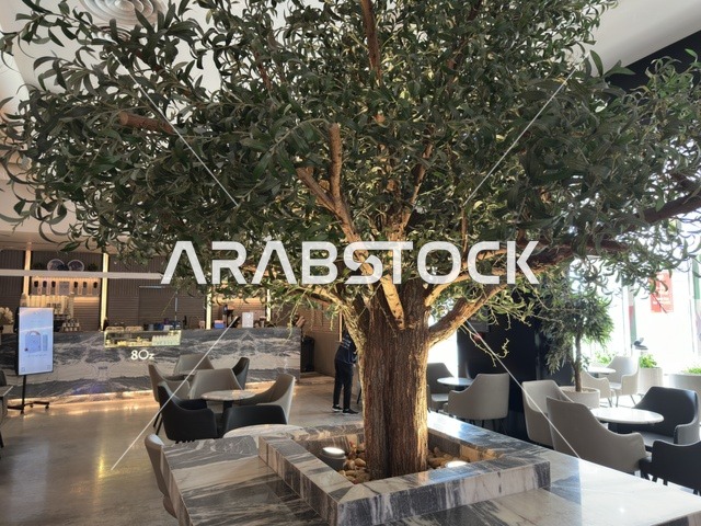 متاجر الكبرى، والمطاعم، والمقاهي، الظهران أكبر وأبرز المجمعات التجارية في المنطقة الشرقية بالمملكة العربية السعودية، مراكز التسوق والمتاجر الفاخرة، رفع مستوى تجربة الزوار وتحسين المرافق، اماكن الأنشطة العائلية الترفيهية