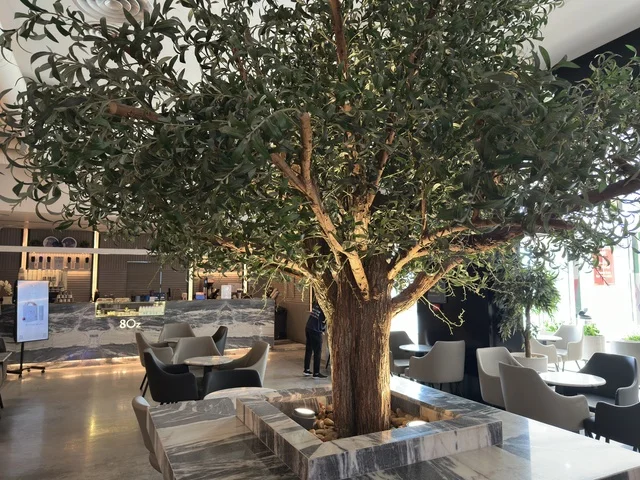 The major stores, restaurants, and cafes in Dhahran are the largest and most prominent shopping complexes in the Eastern Province of the Kingdom of Saudi Arabia, featuring shopping centers and luxury stores, enhancing the visitor experience and improving facilities, as well as places for family entertainment activities.