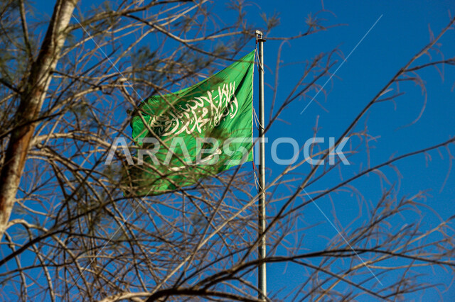 صورة مقربة لسارية علم السعودية من خلف اغصان الاشجار، تصوير جوي لسارية العلم، أطول سارية علم في العالم بالسعودية، الاحتفال باليوم الوطني السعودي