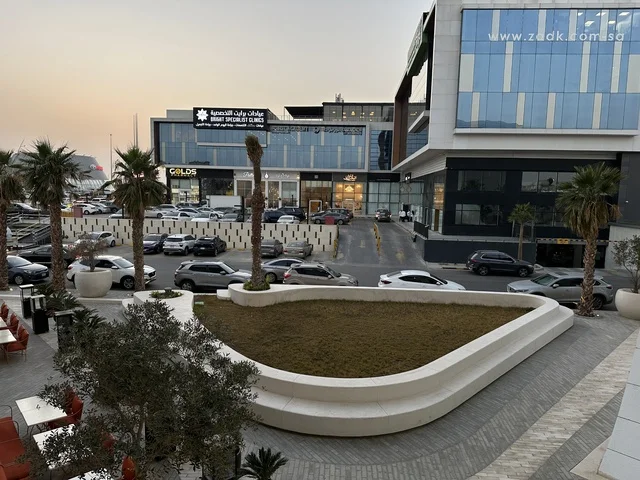 Modern Commercial Plaza and Parking in Saudi Arabia