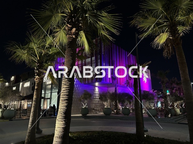 مبنى عصري مضاء مع أشجار نخيل في الليل