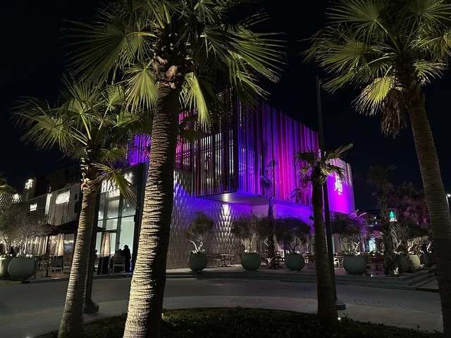 Modern Illuminated Building with Palm Trees at Night