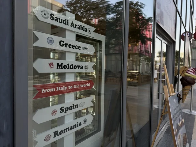 Country Direction Signpost in Storefront Window Display