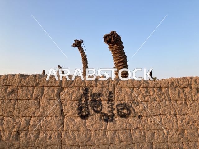 جذوع نخل ميتة خلف جدار طيني تقليدي في بيئة صحراوية