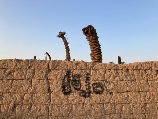 Dead Palm Trunks Behind Traditional Mudbrick Desert Wall