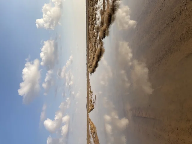 انعكاس مياه السيول في الصحراء تحت الغيوم