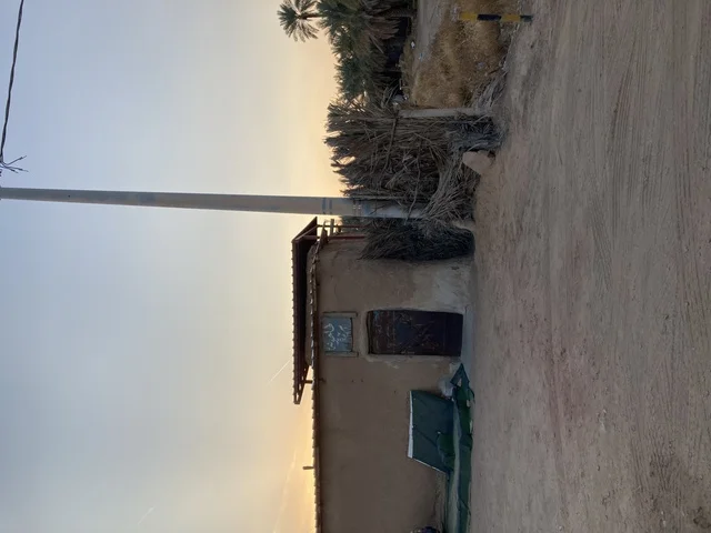 بيت طيني تقليدي بجانب مزرعة نخيل وقت الغروب