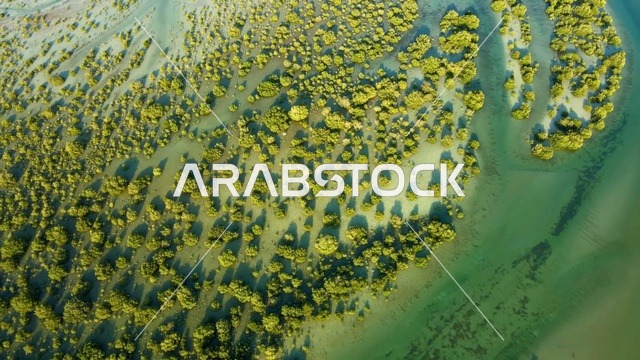 منظر جوي لغابات القرم الإمارات والقنوات المائية الفيروزية