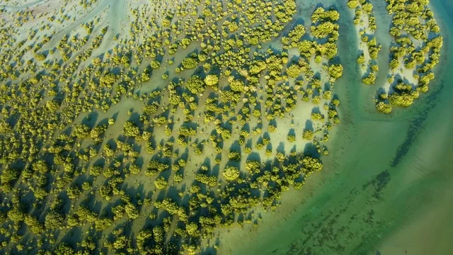 منظر جوي لغابات القرم الإمارات والقنوات المائية الفيروزية