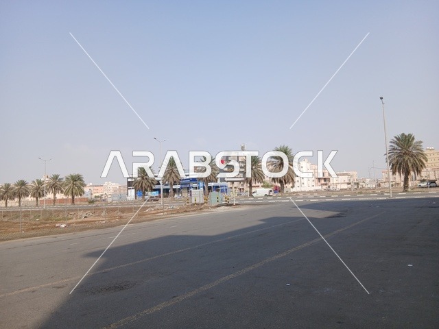 شارع حضري مع أشجار النخيل في السعودية