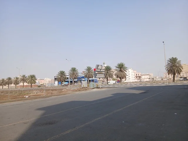 شارع حضري مع أشجار النخيل في السعودية