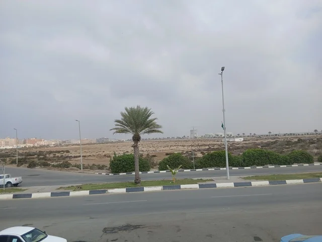 نخلة بجانب طريق صحراوي حضري تحت سماء غائمة