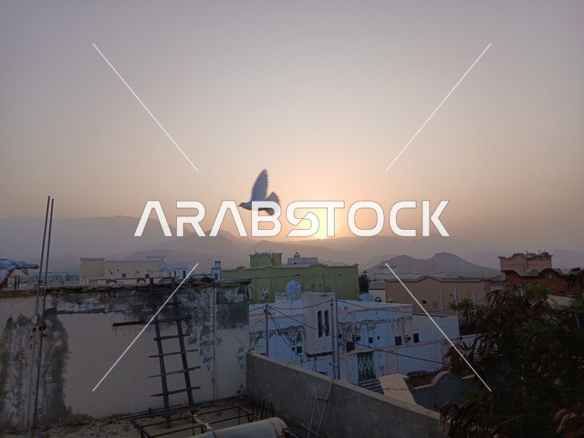 حمامة بيضاء تحلق فوق حي سكني في بلدة جدة التاريخية وقت غروب الشمس