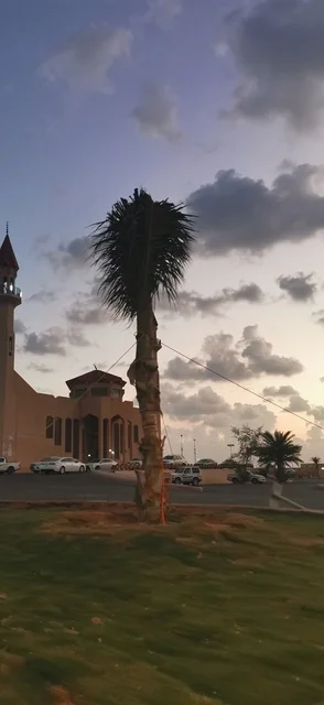 Mosque and Palm Tree at Twilight with Cloudy Sky