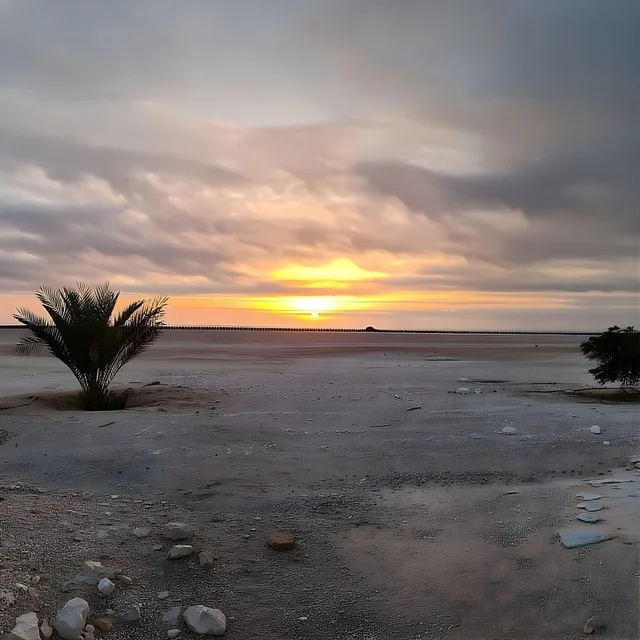 Desert Palm Tree Landscape at Sunset with Cloudy Sky