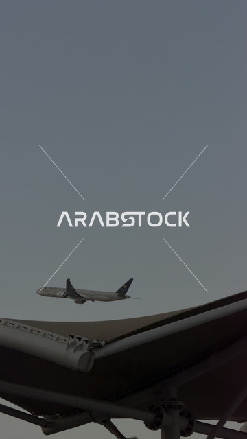 Commercial Airplane Flying Over Dark Architectural Structure