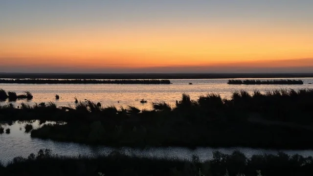 Al-Asfar Lake Al-Ahsa Sunset Landscape View