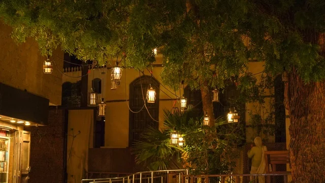 فوانيس عربية تقليدية معلقة على شجرة في الليل