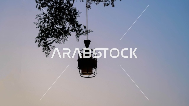 Silhouette of Hanging Lantern on Tree at Sunset