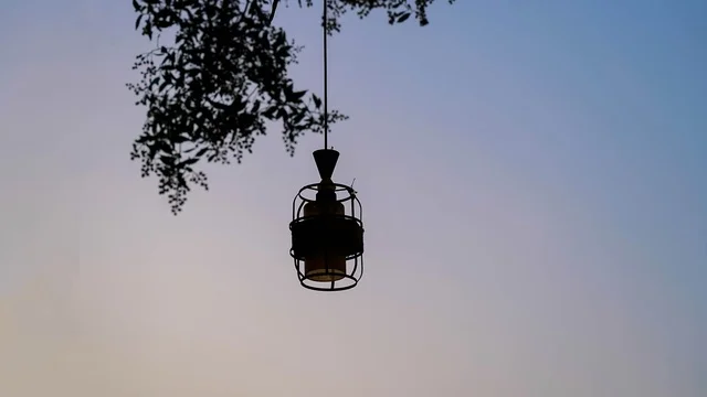 Silhouette of Hanging Lantern on Tree at Sunset