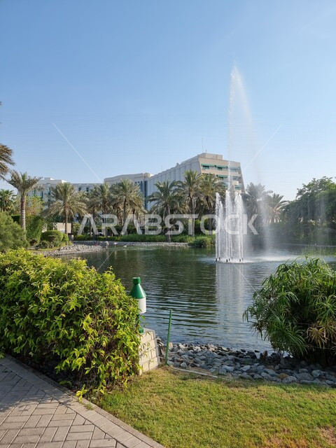 Creative image of the gardens and parks of the Kingdom of Saudi Arabia, a water fountain, beautiful landscapes in Saudi Arabia, green nature in Saudi Arabia, tourism in Saudi Arabia