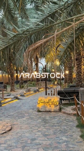 Reef Al Bustan Park Madinah Palm Trees at Night