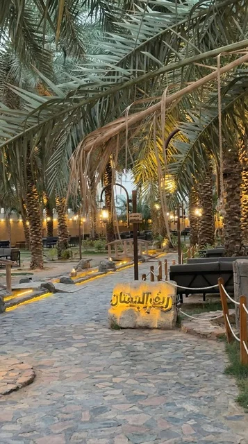 Reef Al Bustan Park Madinah Palm Trees at Night