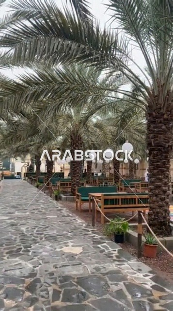 ممرات المشي وأشجار النخيل في متنزه المربد بالمدينة