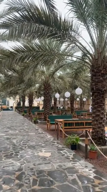 ممرات المشي وأشجار النخيل في متنزه المربد بالمدينة