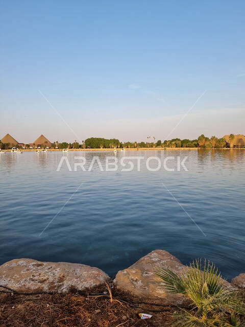 صورة ابداعية لبحيرة محاطة بالاشجار والصخور، الطبيعية الخلابة، أماكن ساحلية سياحية، شاطئ البحر، طيور بيضاء جميلة