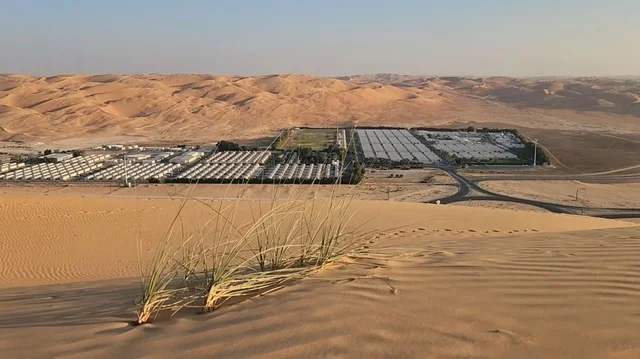Green Oasis UAE Desert Sand Dunes Aerial View