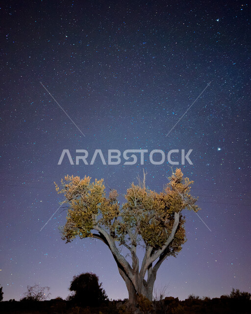 صورة ليلية جمالية لسماء سلطنة عمان في المناطق الصحراية ، جمال منظر السماء المليئة بالنجوم بسلطنة عمان