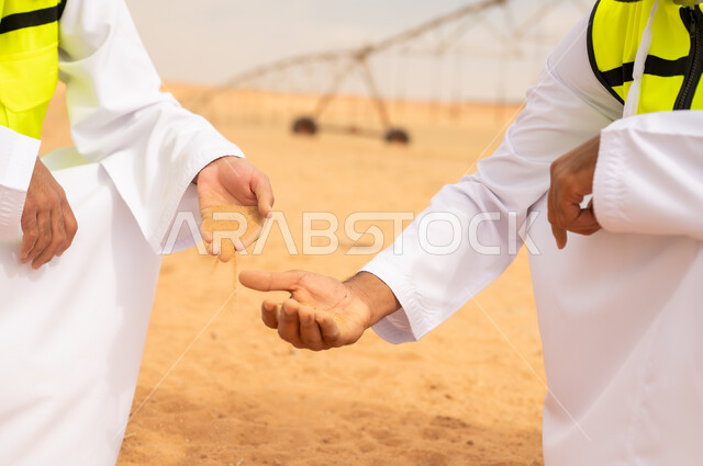 Saudi Agricultural Engineers Inspecting Soil in Desert