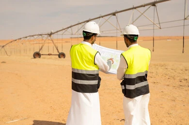 مهندسون سعوديون يتفقدون مشروعاً زراعياً في الصحراء