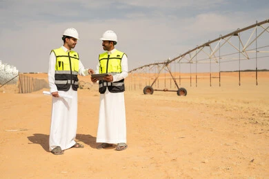 مهندسون سعوديون يستخدمون جهاز لوحي في مزرعة ري صحراوية