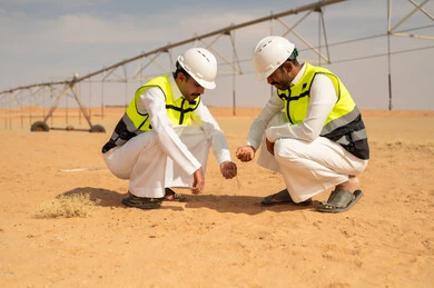 مهندسون سعوديون يفحصون التربة الزراعية في الصحراء