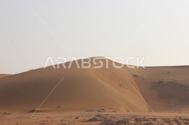 صورة جمالية للكثبان الرملية الصحراوية بالمملكة العربية السعودية، الرمال الذهبية في صحراء السعودية، صحاري السعودية، مناطق صحراوية، جمال الطبيعة الصحراوية في المملكة العربية السعودية