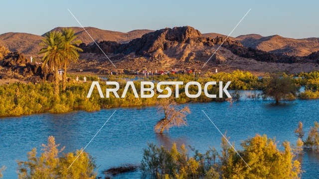 وادي صحراوي مغمور بالمياه مع النخيل والجبال في حائل