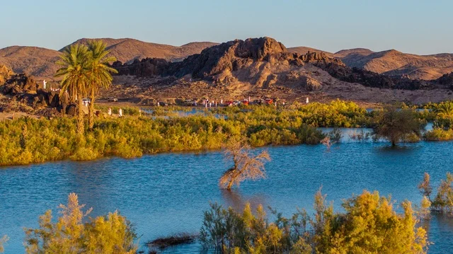 وادي صحراوي مغمور بالمياه مع النخيل والجبال في حائل