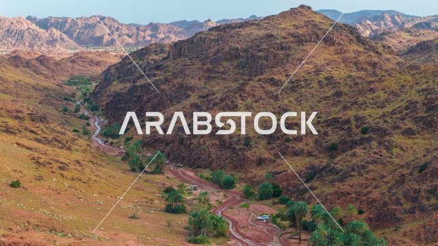 وادي صحراوي وجبال وعرة مع أشجار النخيل في حائل