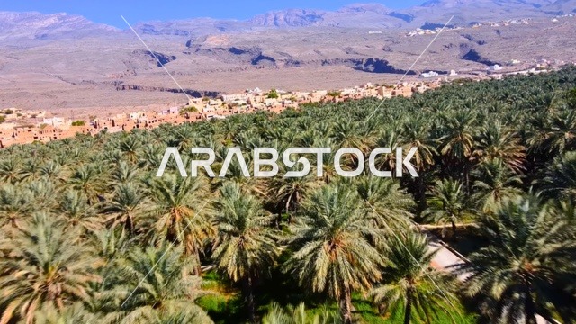 واحة الحمراء في عُمان بين جبال الحجر