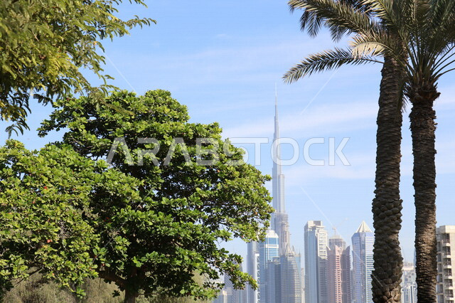 برج خليفة في مدينة دبي بالامارات العربية المتحدة، التصميم الهندسي المعماري المميز، أبراح وناطحات سحاب، جمال الاشجار الخضراء في الإمارات، السياحة في دبي