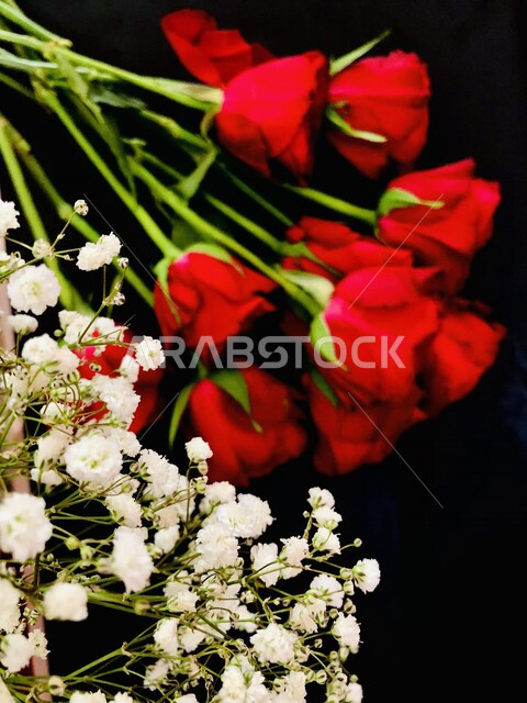 صورة مقربة لباقة ورد عطرية حمراء جميلة، زراعة الازهار والورود الطبيعية، خلفية سوداء، ورود حمراء وبيضاء، ورد جوري